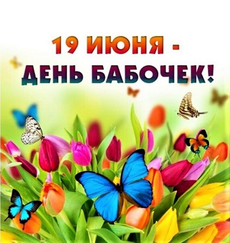 День бабочек.#НавигаторыДетства71.